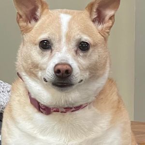 Meet your Posher, Nate